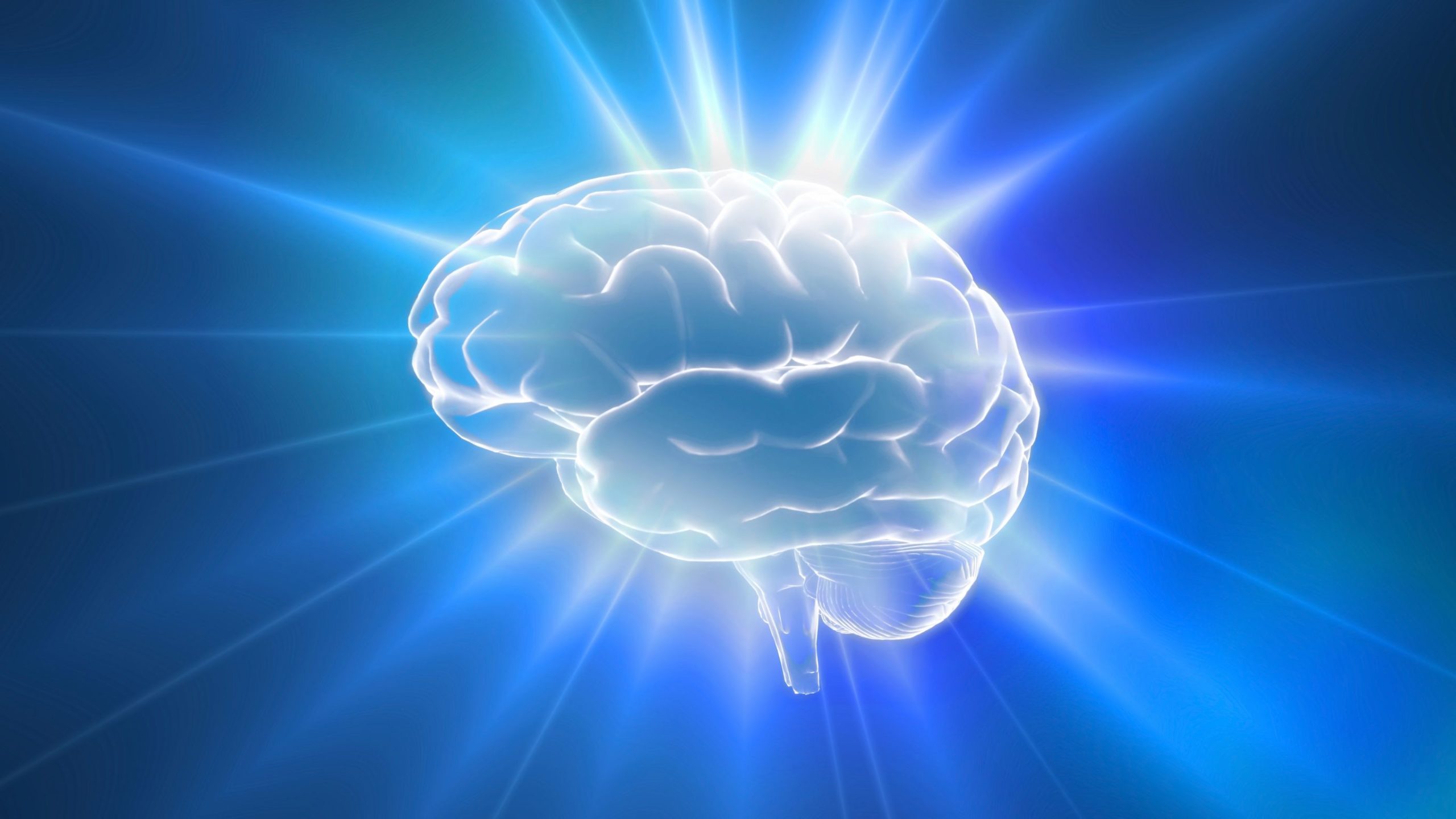 Podcast - Differences Between the Male and Female Brain - Hormones and 